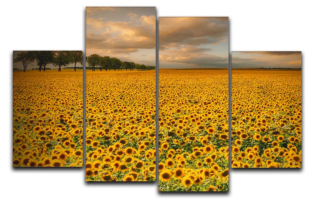 A vibrant 4-panel canvas artwork featuring sunflowers, showcasing a dynamic and colorful design perfect for home decor.
