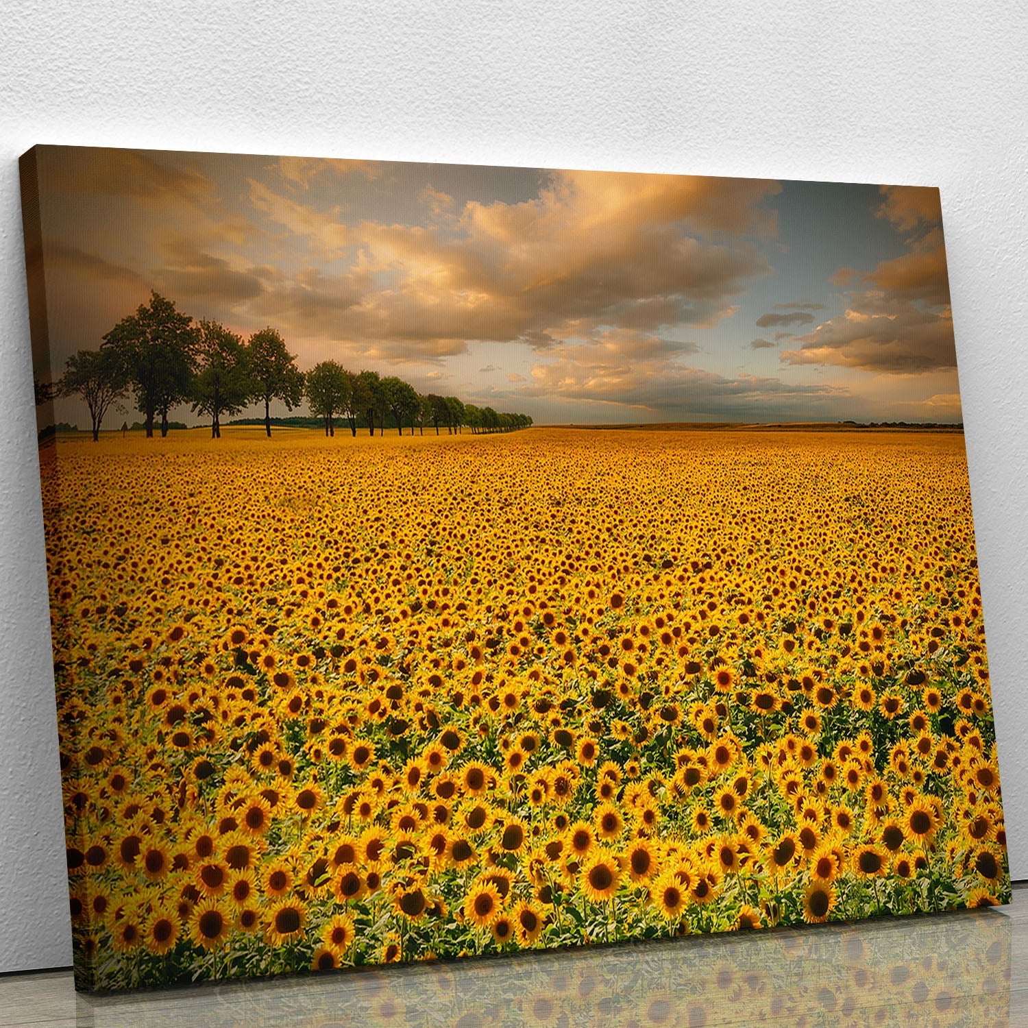 A vibrant sunflower canvas print showcasing bright yellow flowers against a soft background, perfect for home decor.