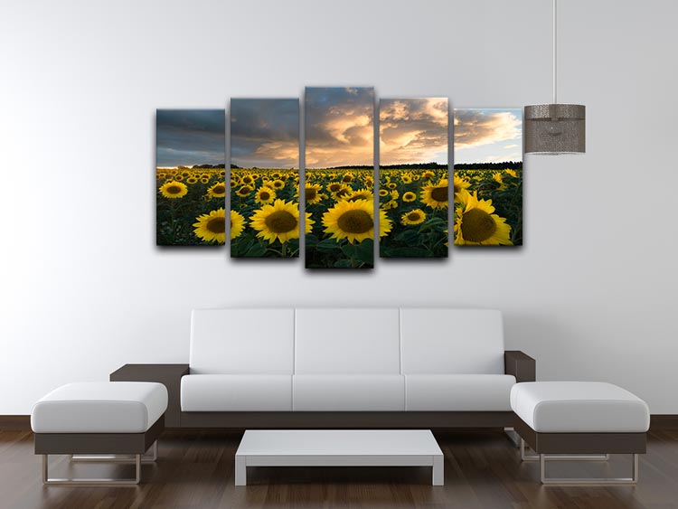 A vibrant 5-panel canvas artwork featuring sunflowers, beautifully arranged to create a cohesive and dynamic display.