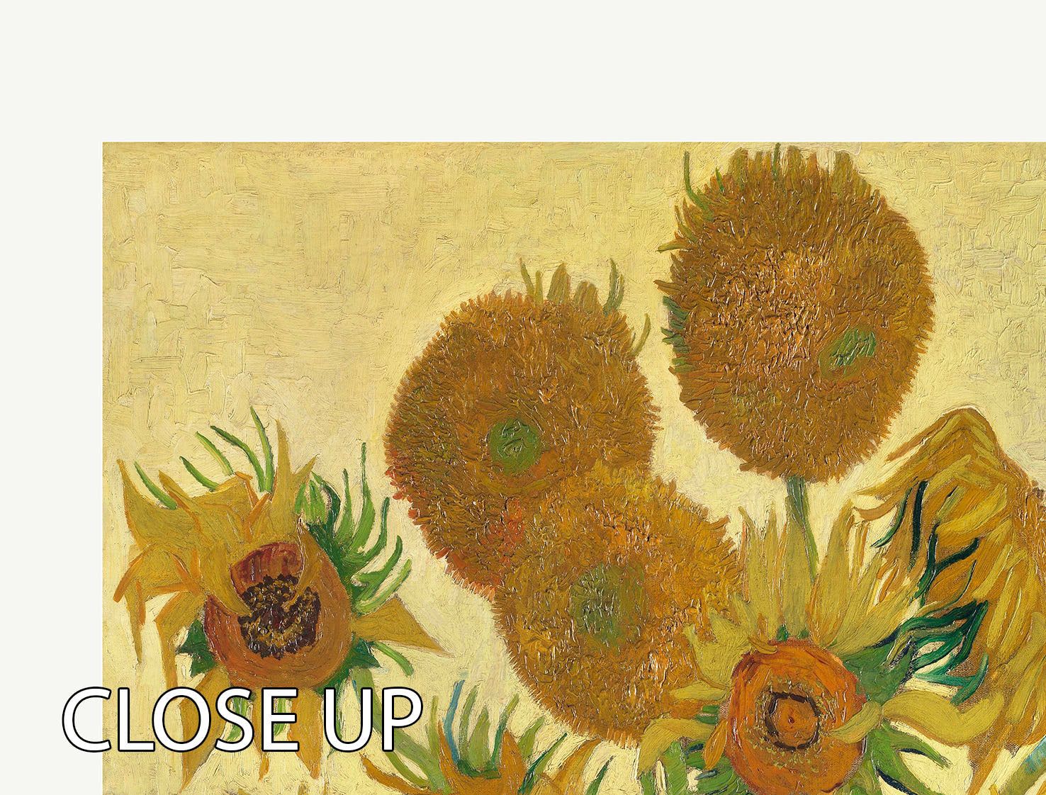 Three-panel canvas print featuring vibrant sunflowers, elegantly arranged for wall decor.