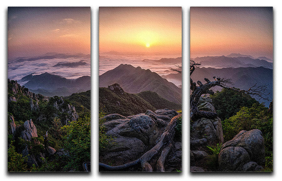 A beautiful 3-panel canvas print depicting a vibrant sunrise over a serene landscape, perfect for home decor.