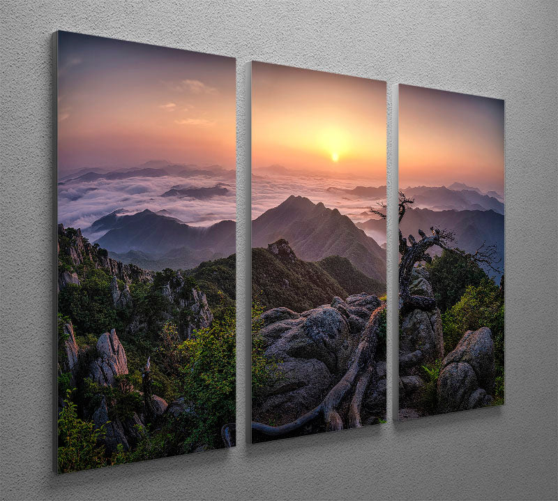 A beautiful 3-panel canvas print depicting a vibrant sunrise over a serene landscape, perfect for home decor.