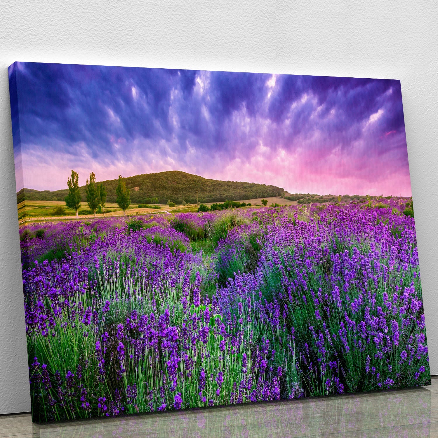 A beautiful canvas print featuring a sunset over a vibrant lavender field, showcasing rich colors and serene nature.