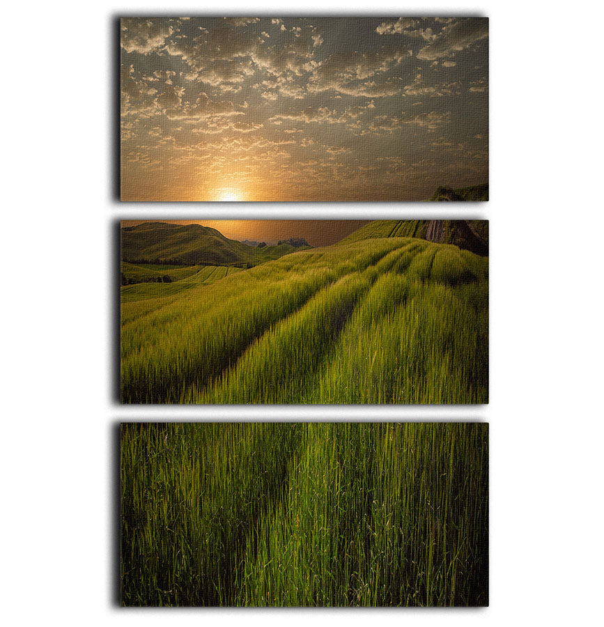 A beautiful 3-panel canvas print depicting a sunset over fields, showcasing vibrant colors and serene landscapes.