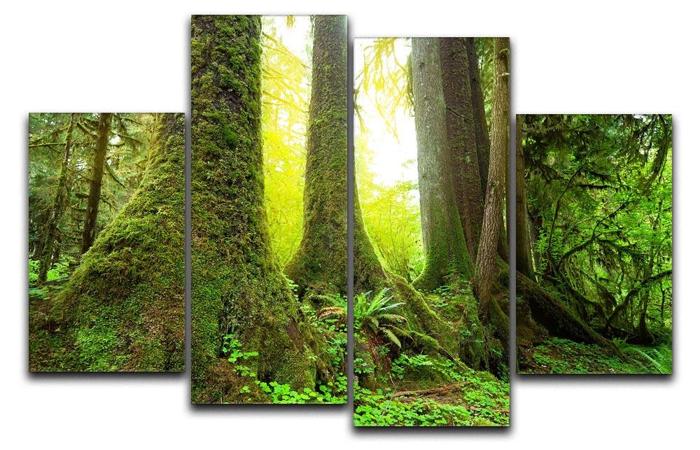 A beautiful 4-panel canvas artwork depicting sunlight filtering through a lush green forest, creating a serene and vibrant atmosphere.