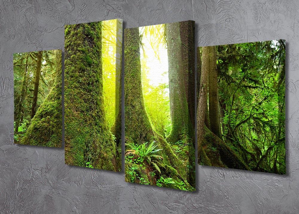 A beautiful 4-panel canvas artwork depicting sunlight filtering through a lush green forest, creating a serene and vibrant atmosphere.