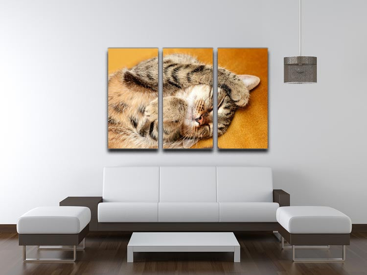 A beautiful 3-panel canvas print featuring a Tabby cat sweetly sleeping on a bed, showcasing vibrant colors and intricate details.