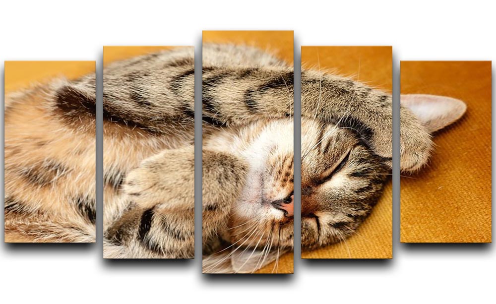 A beautiful 5-split canvas artwork featuring a tabby cat sleeping peacefully on a bed, showcasing vibrant colors and intricate details.