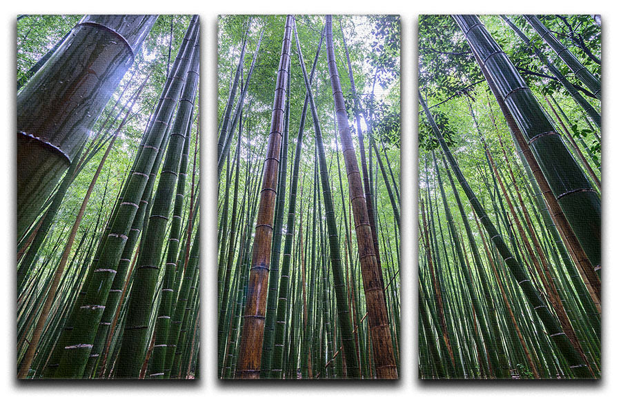 Tall 3 Split Panel Canvas Print featuring vibrant colors and elegant design, perfect for enhancing any room's decor.