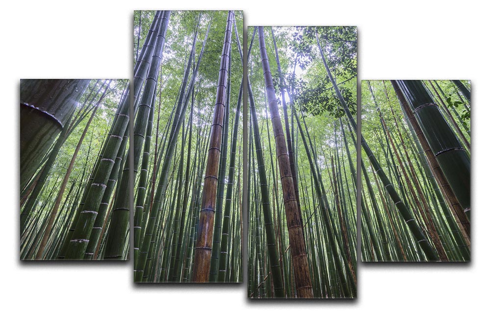 Tall 4 Split Panel Canvas artwork featuring four equal sections, creating a cohesive and dynamic visual effect.