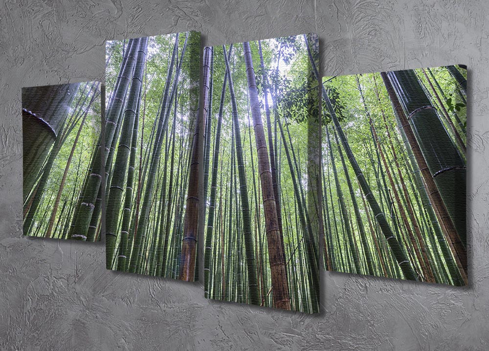 Tall 4 Split Panel Canvas artwork featuring four equal sections, creating a cohesive and dynamic visual effect.