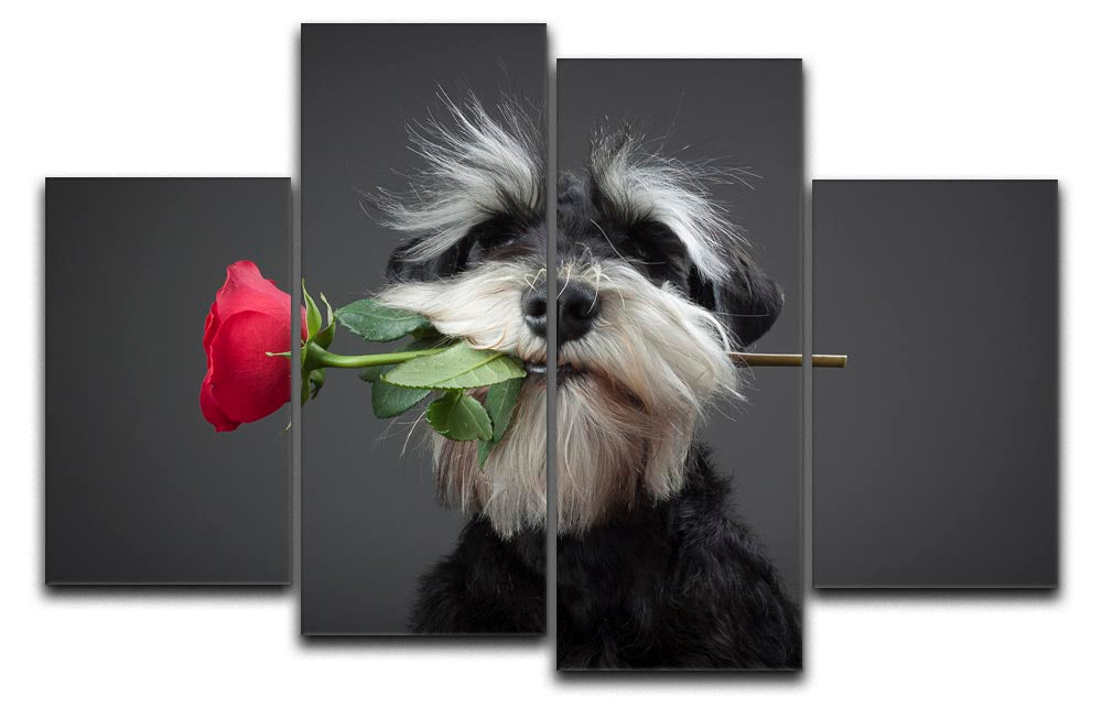 A vibrant 4-split canvas artwork featuring a tango dancer, showcasing dynamic movement and color.