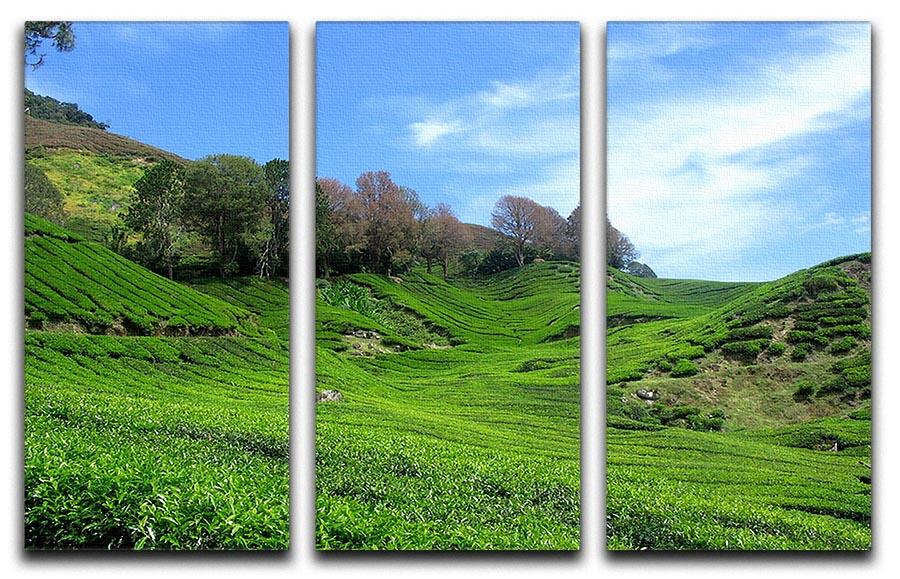 Tea Mountain 3 Split Panel Canvas Print showcasing serene mountain landscape in three panels, perfect for home decor.