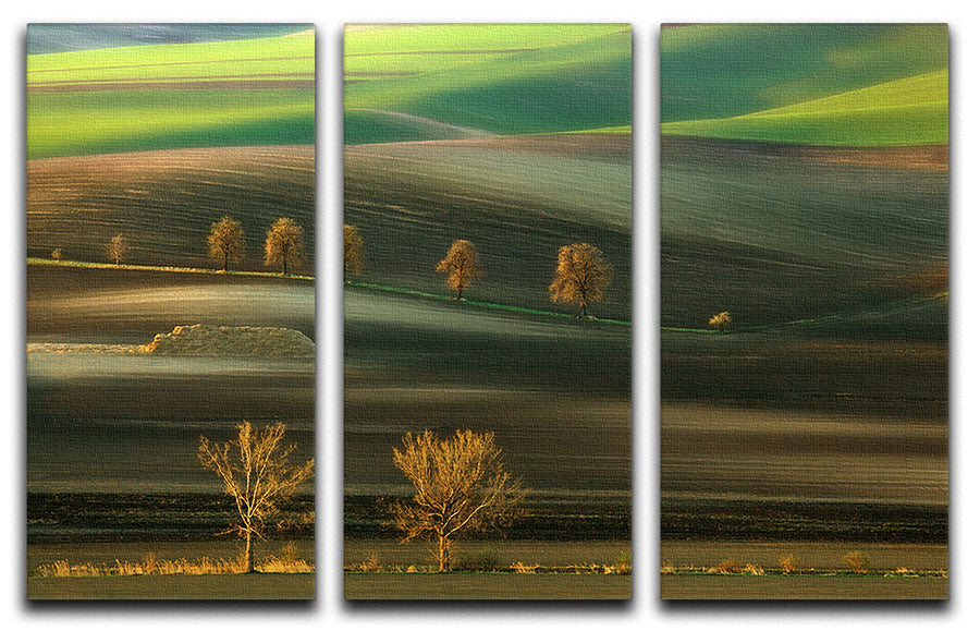 A stunning Ten 3 Split Panel Canvas Print featuring three cohesive canvases with modern art design, perfect for enhancing any living space.