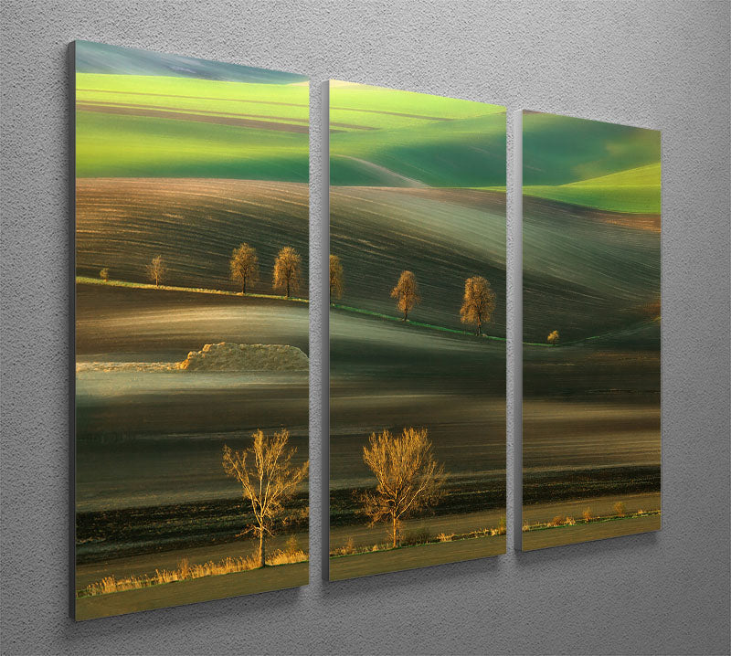 A stunning Ten 3 Split Panel Canvas Print featuring three cohesive canvases with modern art design, perfect for enhancing any living space.
