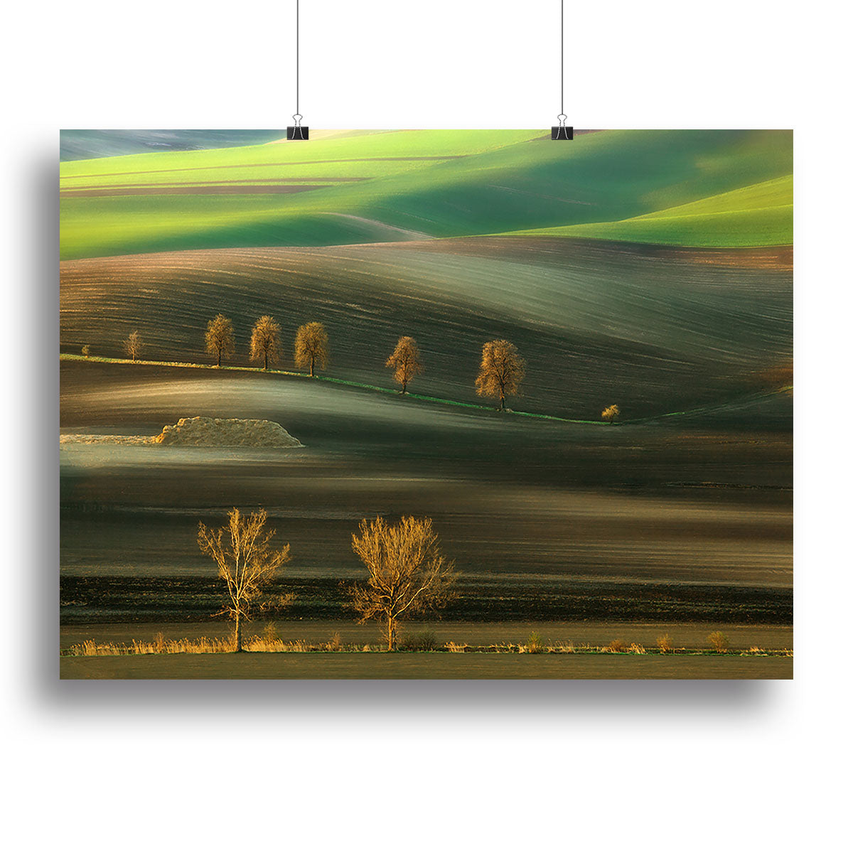 A collection of ten vibrant canvas prints and posters showcasing modern art, nature scenes, and vintage designs, perfect for home decor.