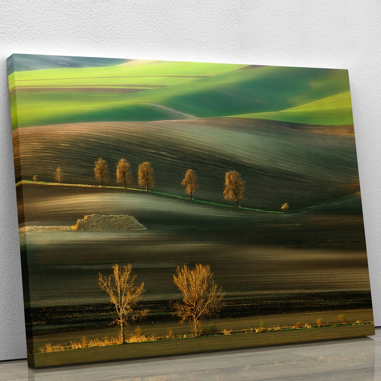 A collection of ten vibrant canvas prints and posters showcasing modern art, nature scenes, and vintage designs, perfect for home decor.