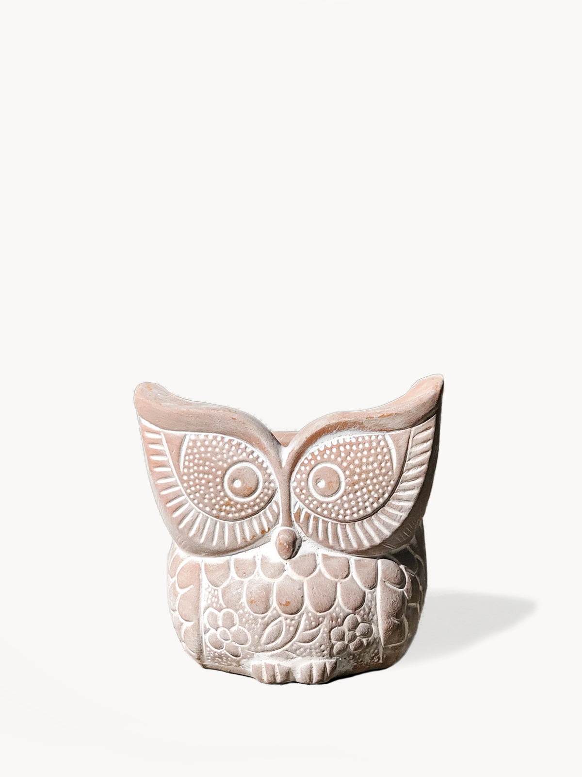 Big Eye Owl Terracotta Pot, handcrafted clay planter with a whimsical owl design, perfect for colorful flowers and plants.