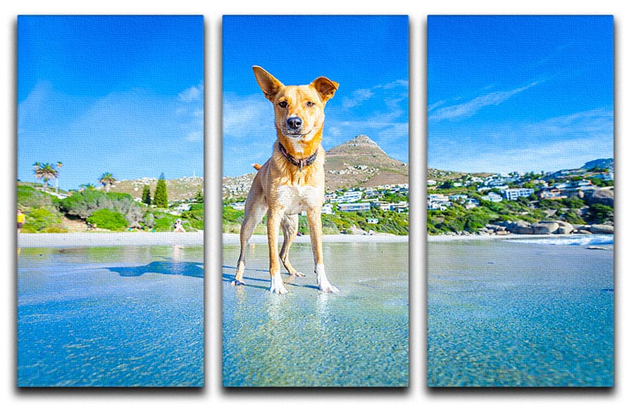 A beautiful 3-panel canvas print featuring a playful Terrier dog, perfect for home decor.