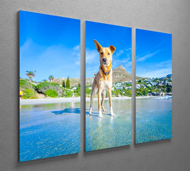 A beautiful 3-panel canvas print featuring a playful Terrier dog, perfect for home decor.