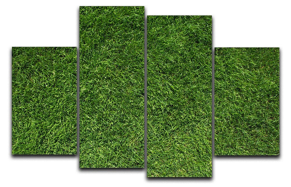 A vibrant 4-split canvas artwork featuring lush green grass, showcasing intricate textures and colors.