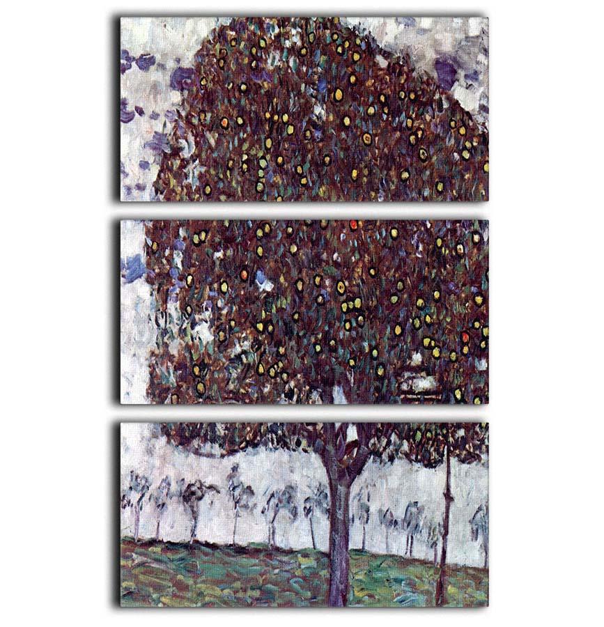 The Apple Tree by Klimt 3-panel canvas print showcasing vibrant colors and intricate details, perfect for home decor.