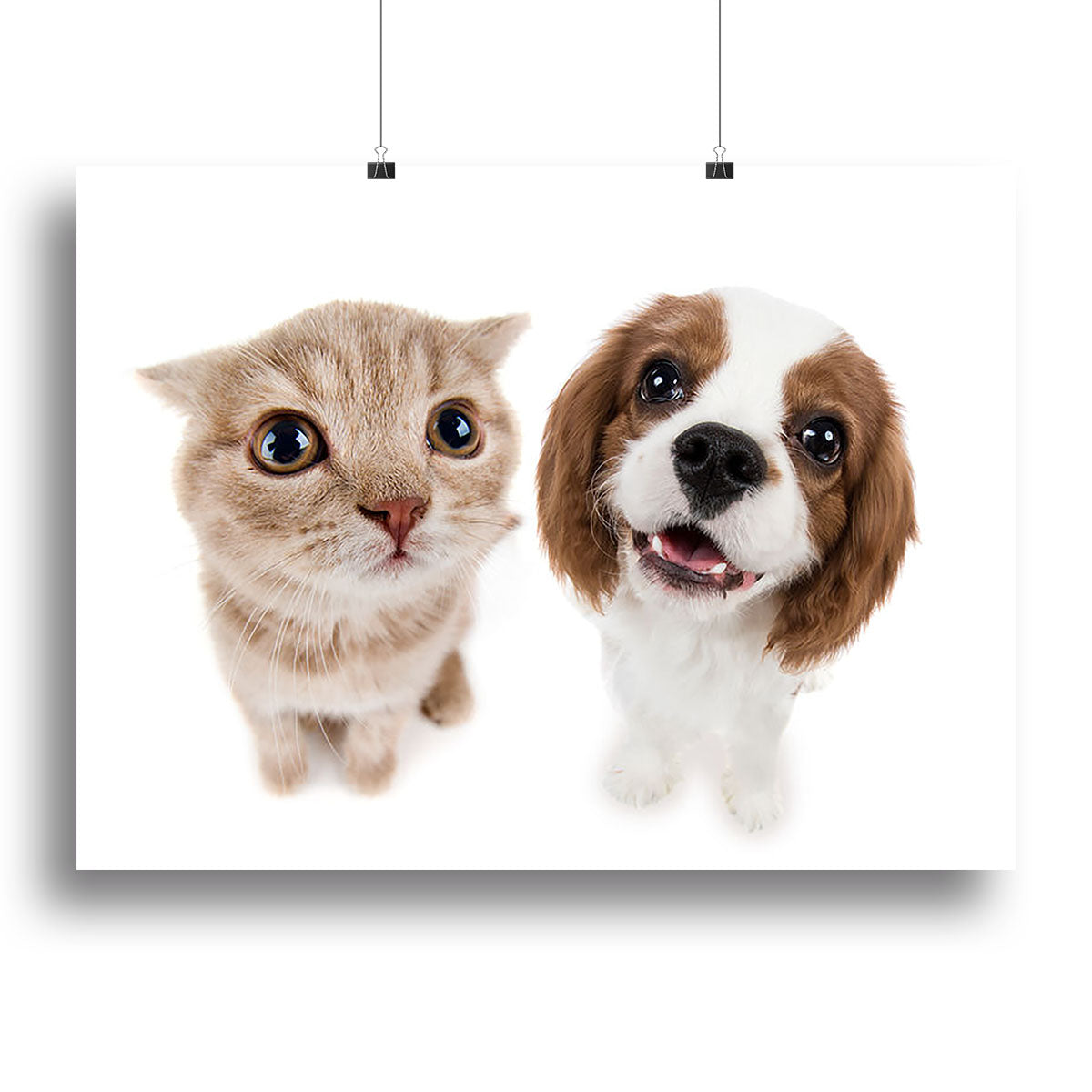 A beautiful brown little kitten canvas print showcasing a charming feline design, perfect for home decor.