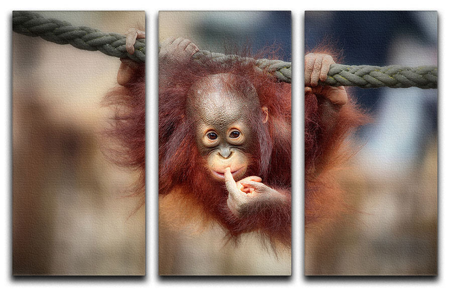 A stunning 3-panel canvas print featuring modern art, perfect for enhancing home decor.