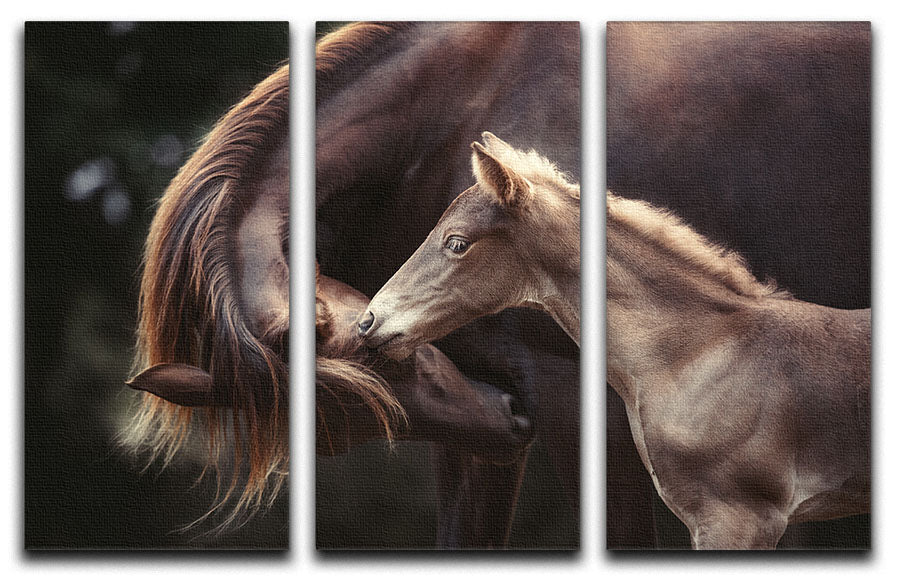 The Bond 3 Split Panel Canvas Print featuring three high-quality canvases with a cohesive design, perfect for home or office decor.