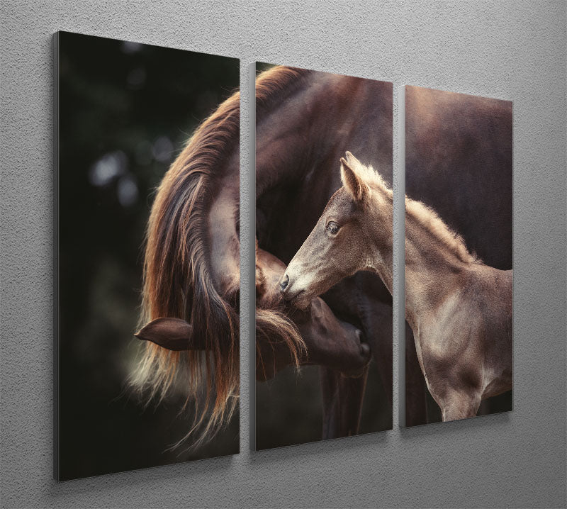 The Bond 3 Split Panel Canvas Print featuring three high-quality canvases with a cohesive design, perfect for home or office decor.