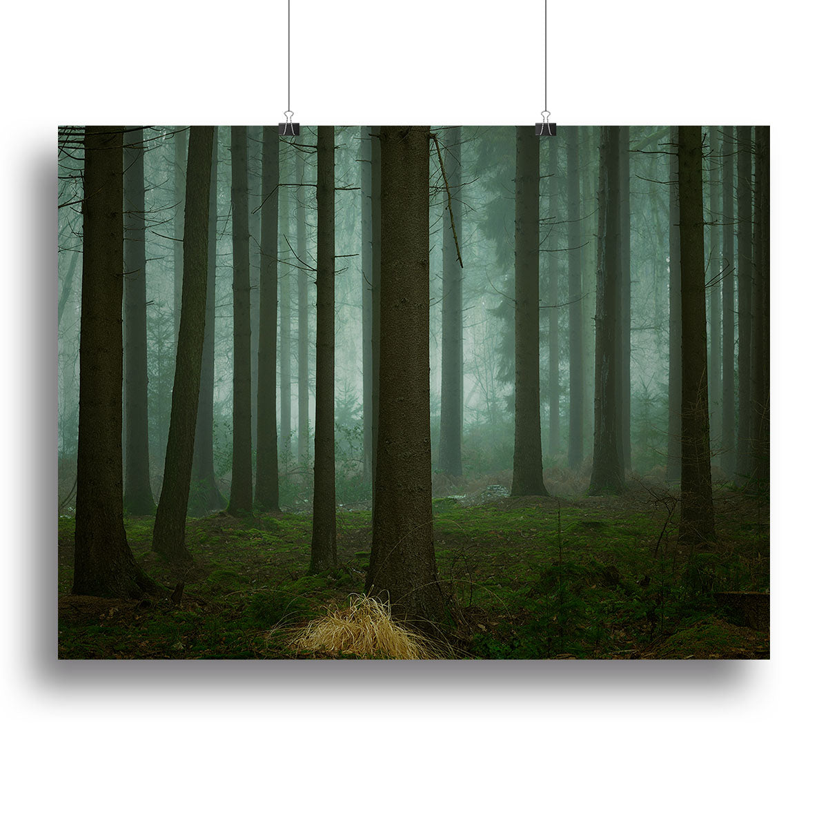A beautiful canvas print depicting a serene winter landscape, showcasing dark trees against a snowy background.
