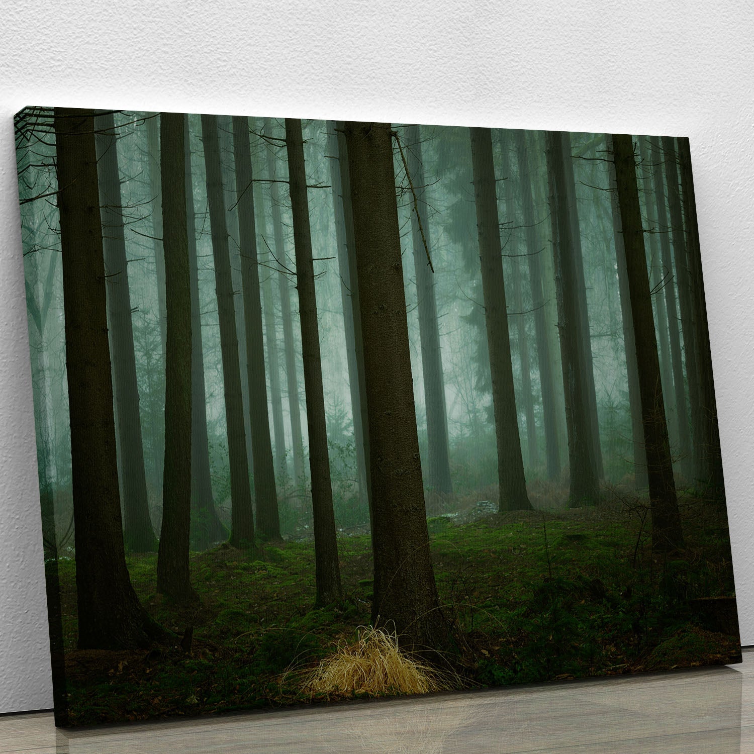 A beautiful canvas print depicting a serene winter landscape, showcasing dark trees against a snowy background.