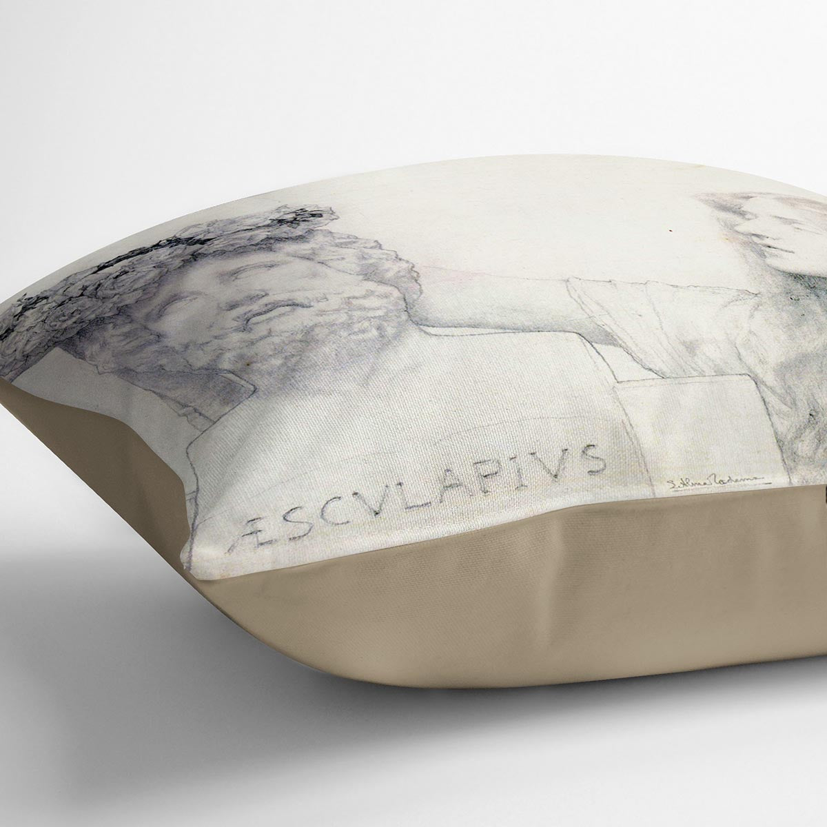 A vibrant abstract cushion featuring the coronation of AESCULAPIUS by Alma Tadema, made from luxurious vegan faux suede.