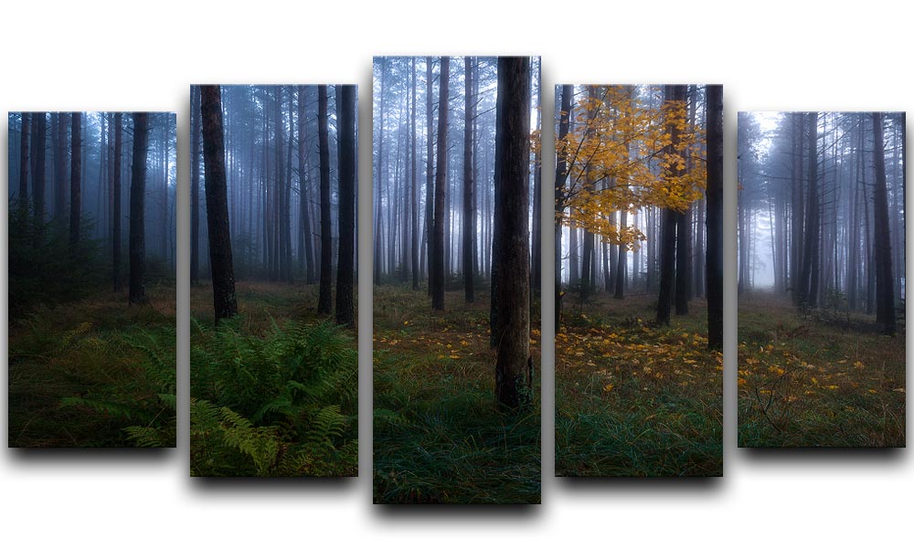 The Dark Light 5 Split Panel Canvas artwork featuring a captivating design across five panels, showcasing depth and vibrant colors.