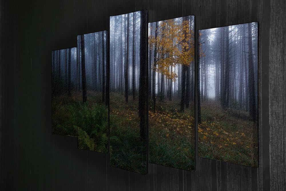 The Dark Light 5 Split Panel Canvas artwork featuring a captivating design across five panels, showcasing depth and vibrant colors.