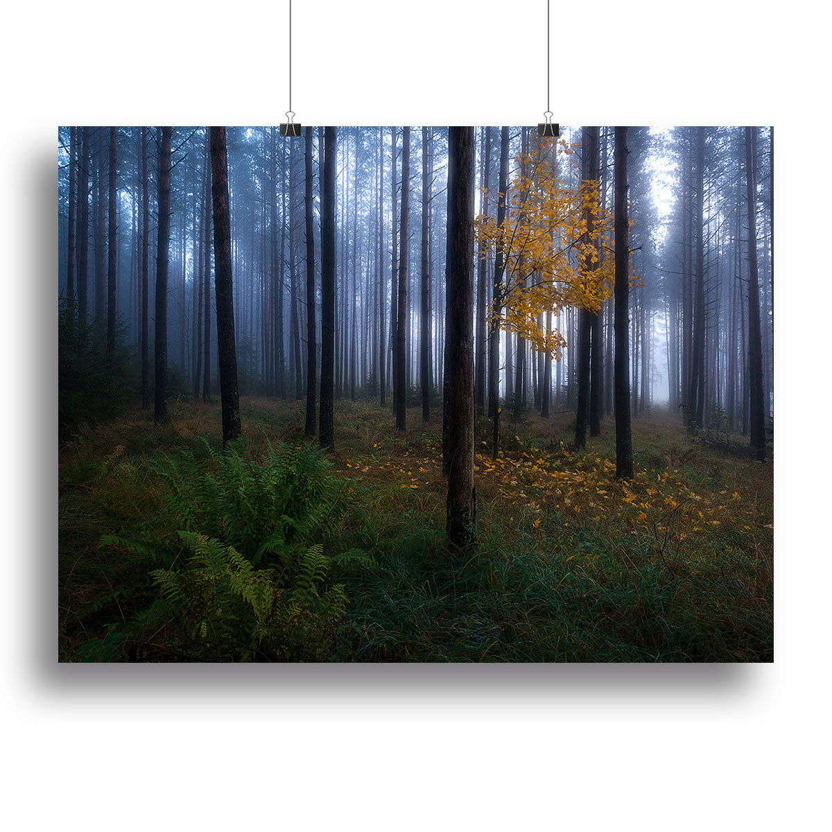 The Dark Light Canvas Print showcasing abstract art with vibrant colors on a durable canvas, perfect for modern home decor.