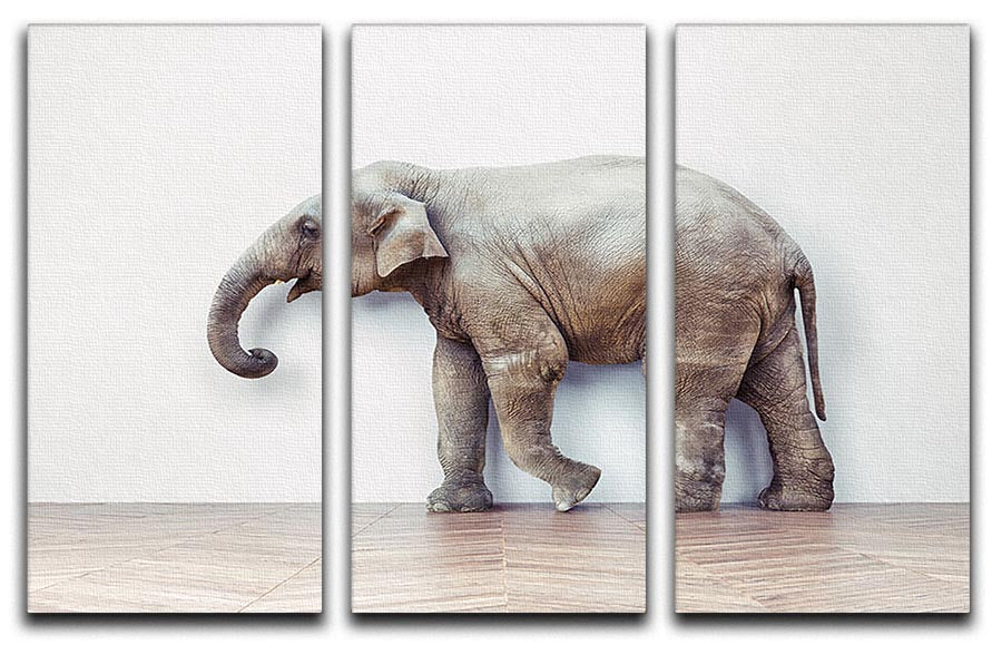 Three-panel canvas art featuring a serene elephant design against a white wall, perfect for home decor.