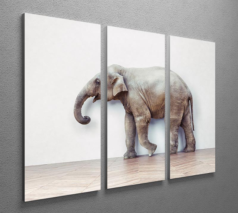 Three-panel canvas art featuring a serene elephant design against a white wall, perfect for home decor.