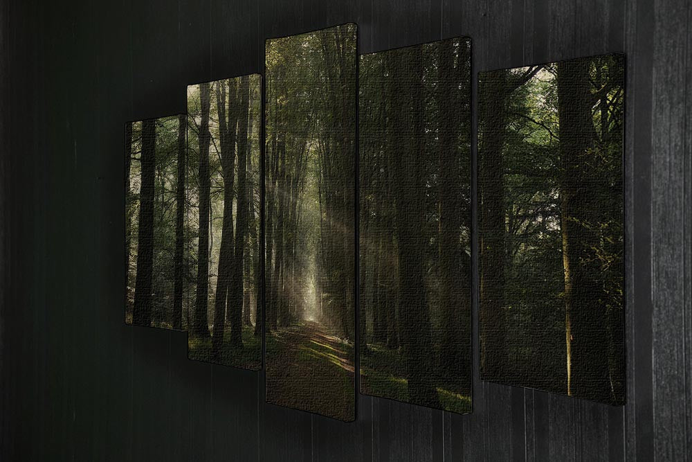 The Essential 5 Split Panel Canvas featuring a cohesive artwork divided into five panels, showcasing vibrant colors and intricate designs.