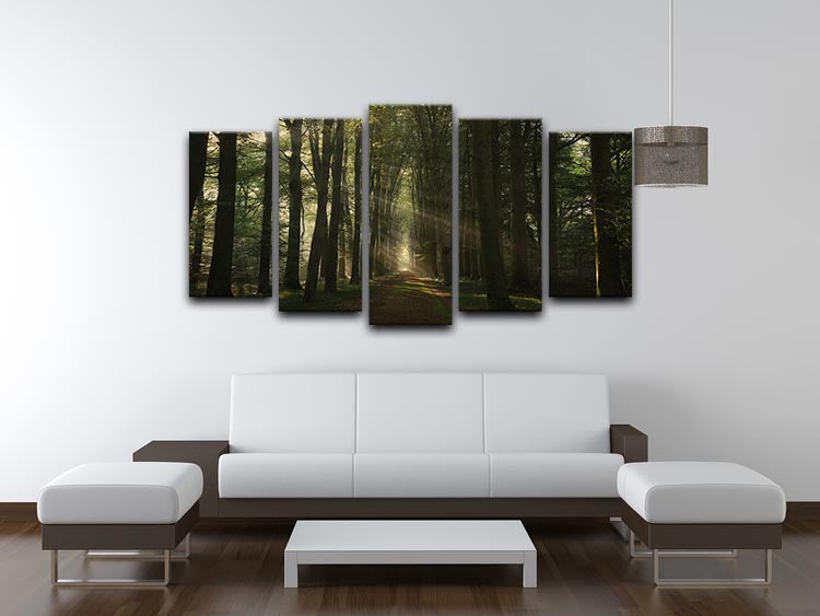 The Essential 5 Split Panel Canvas featuring a cohesive artwork divided into five panels, showcasing vibrant colors and intricate designs.