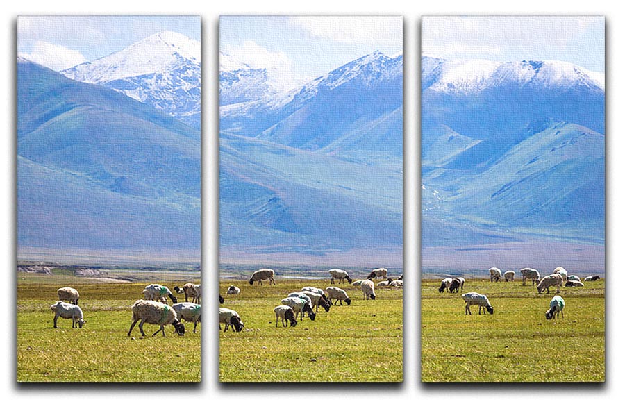 A beautiful 3-panel canvas print featuring a flock of birds under a snow-capped mountain, enhancing any interior space.