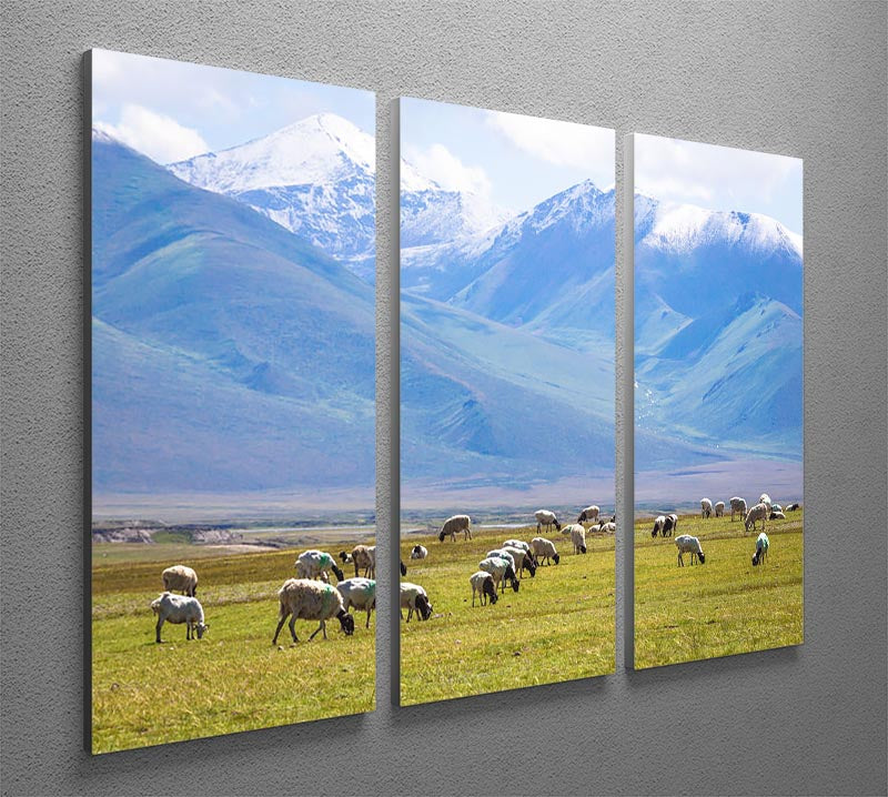 A beautiful 3-panel canvas print featuring a flock of birds under a snow-capped mountain, enhancing any interior space.