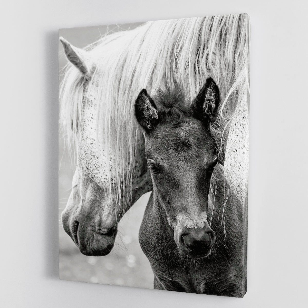 A beautiful canvas print of a foal, showcasing vibrant colors and intricate details, perfect for home or office decor.