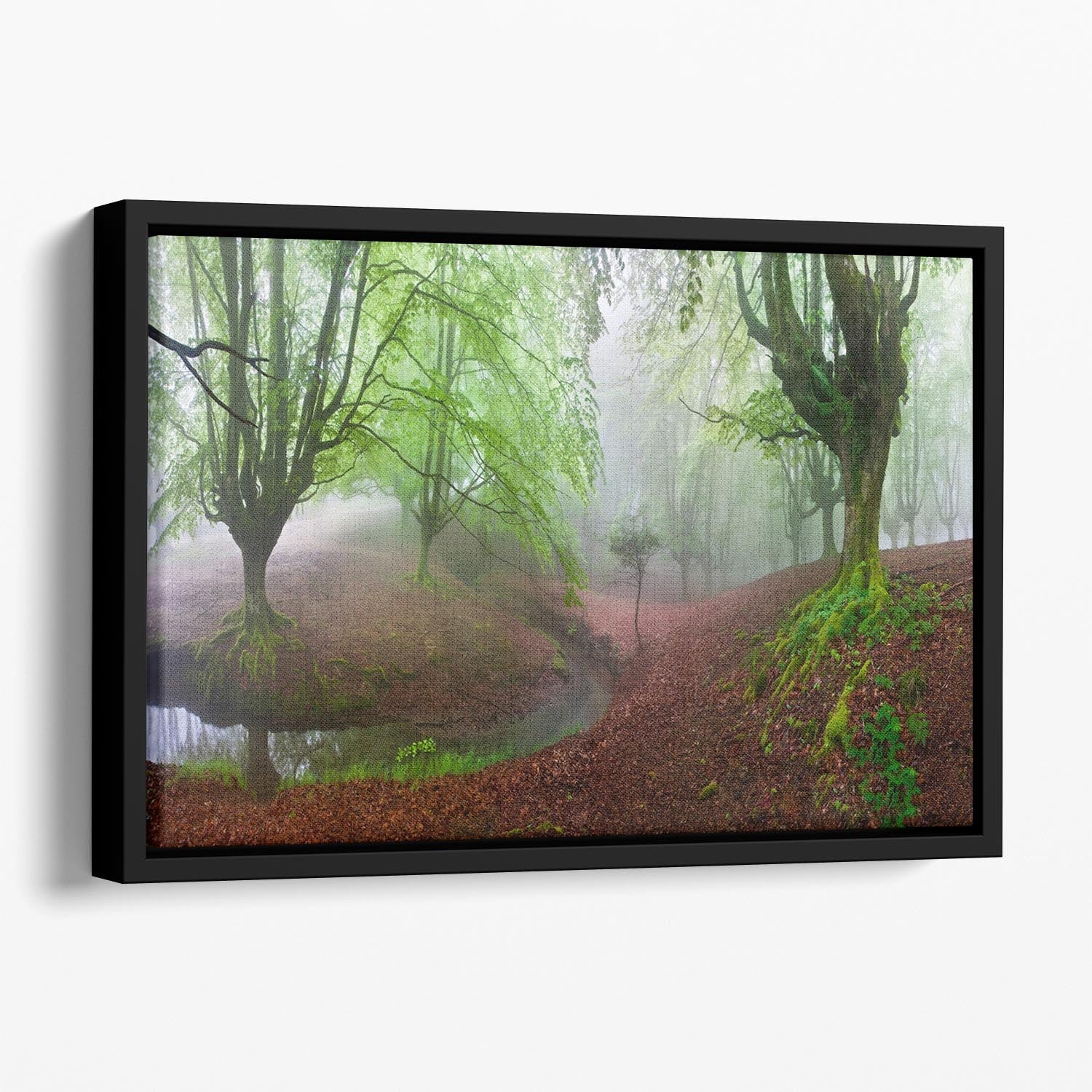 The Forest Maravillador III Floating Framed Canvas featuring vibrant abstract colors and elegant wooden floating frame.