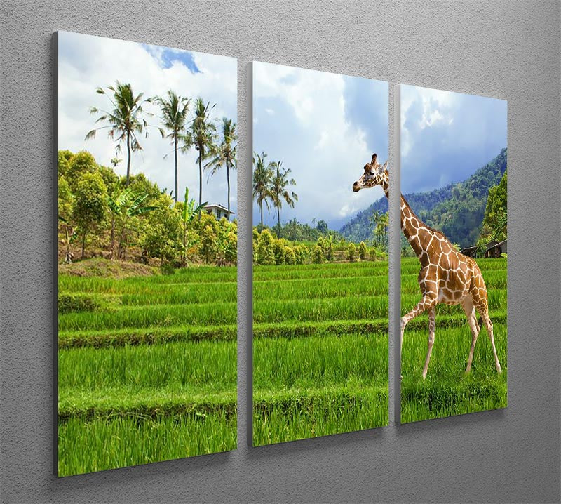 Three-panel canvas art featuring a giraffe on green grass with mountains in the background, showcasing vibrant colors and intricate details.