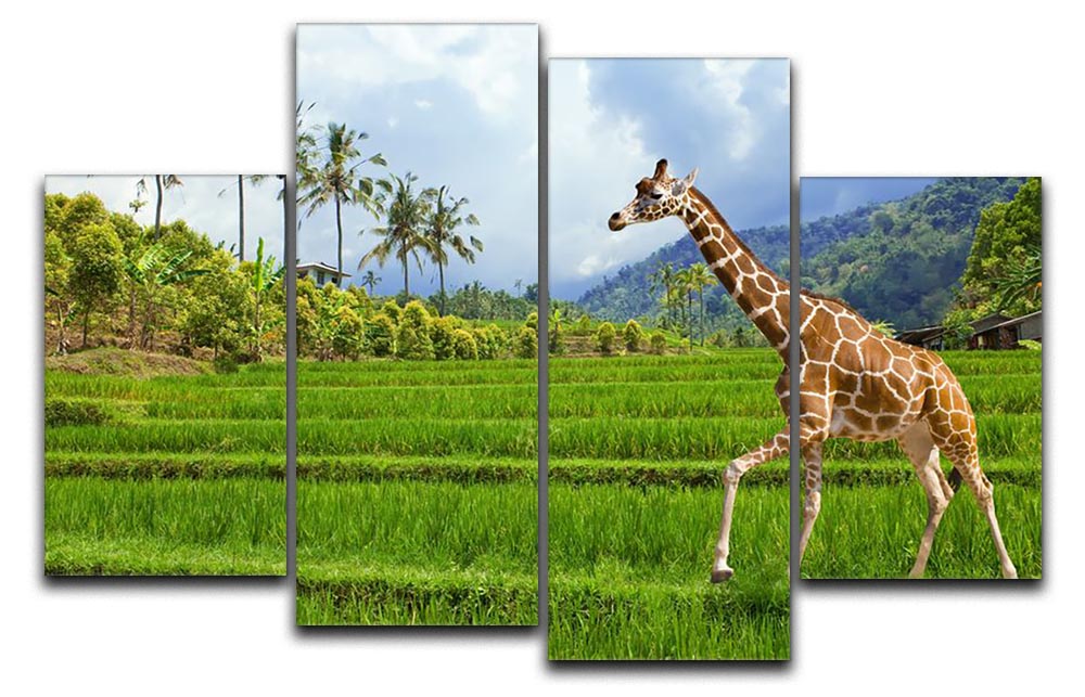 A vibrant 4 split panel canvas artwork featuring a giraffe on green grass with mountains in the background, showcasing a serene landscape.