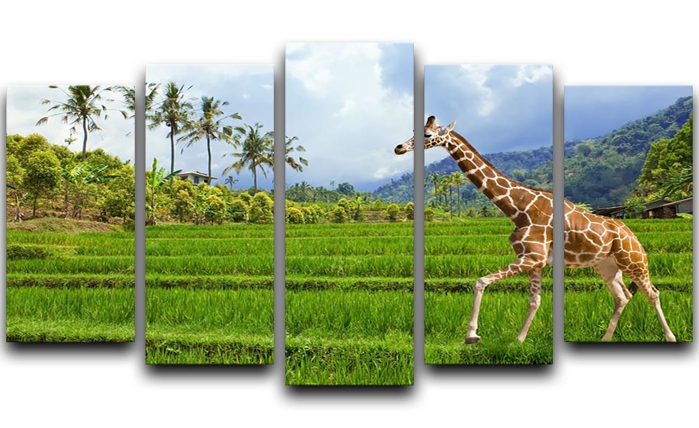 A vibrant 5-split panel artwork featuring a giraffe on green grass with mountains in the background, showcasing stunning colors and details.