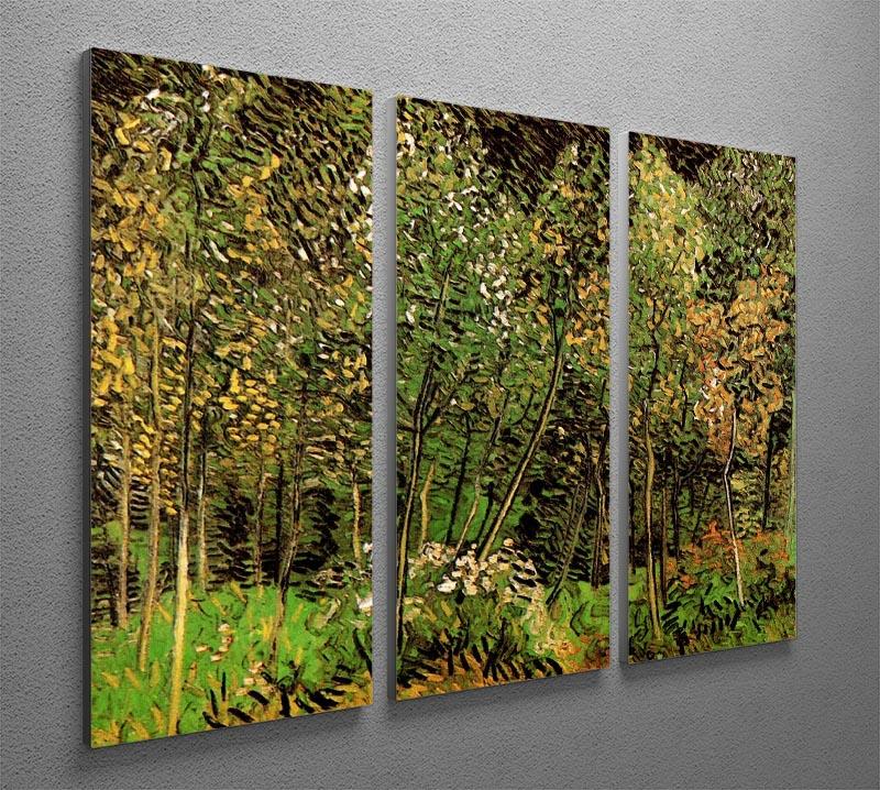 The Grove by Van Gogh 3 Split Panel Canvas Print showcasing vibrant colors and intricate details across three panels.