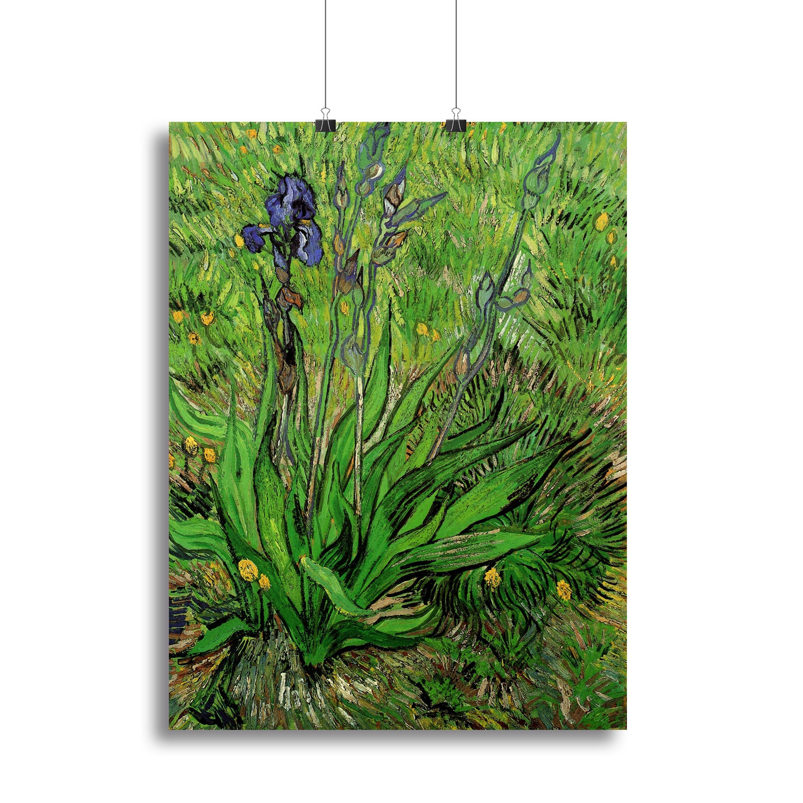The Iris by Van Gogh canvas print showcasing vibrant blue and purple flowers with green leaves, elegantly framed for wall display.