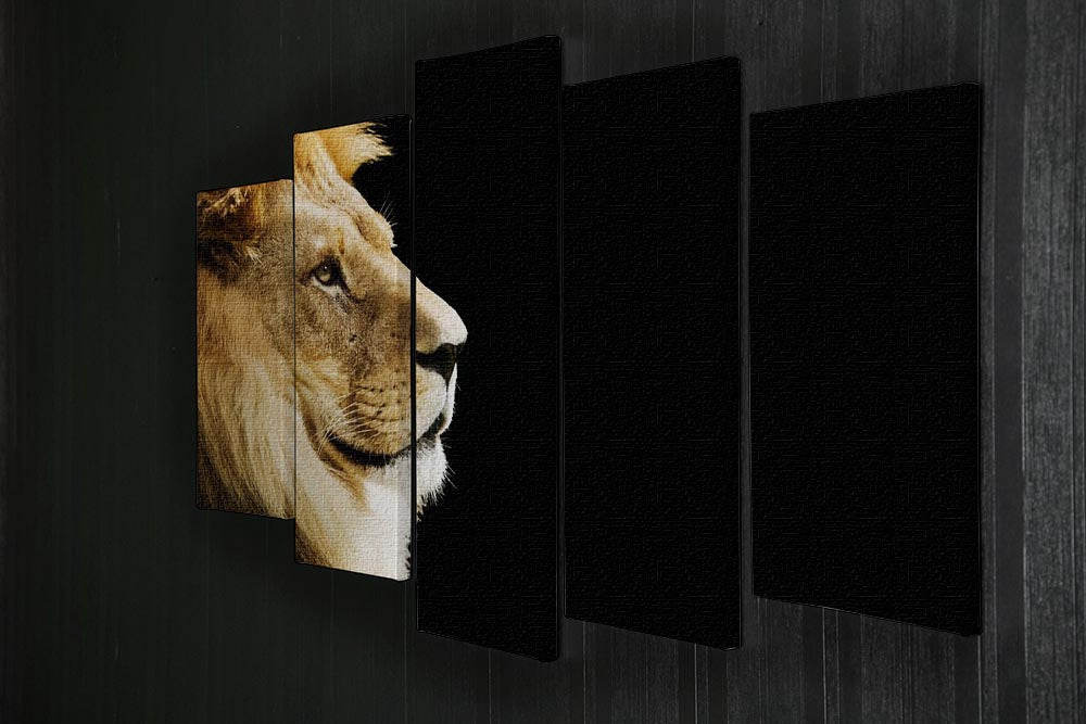 A majestic portrait of a lion, split into five panels, showcasing its regal presence and vibrant colors.